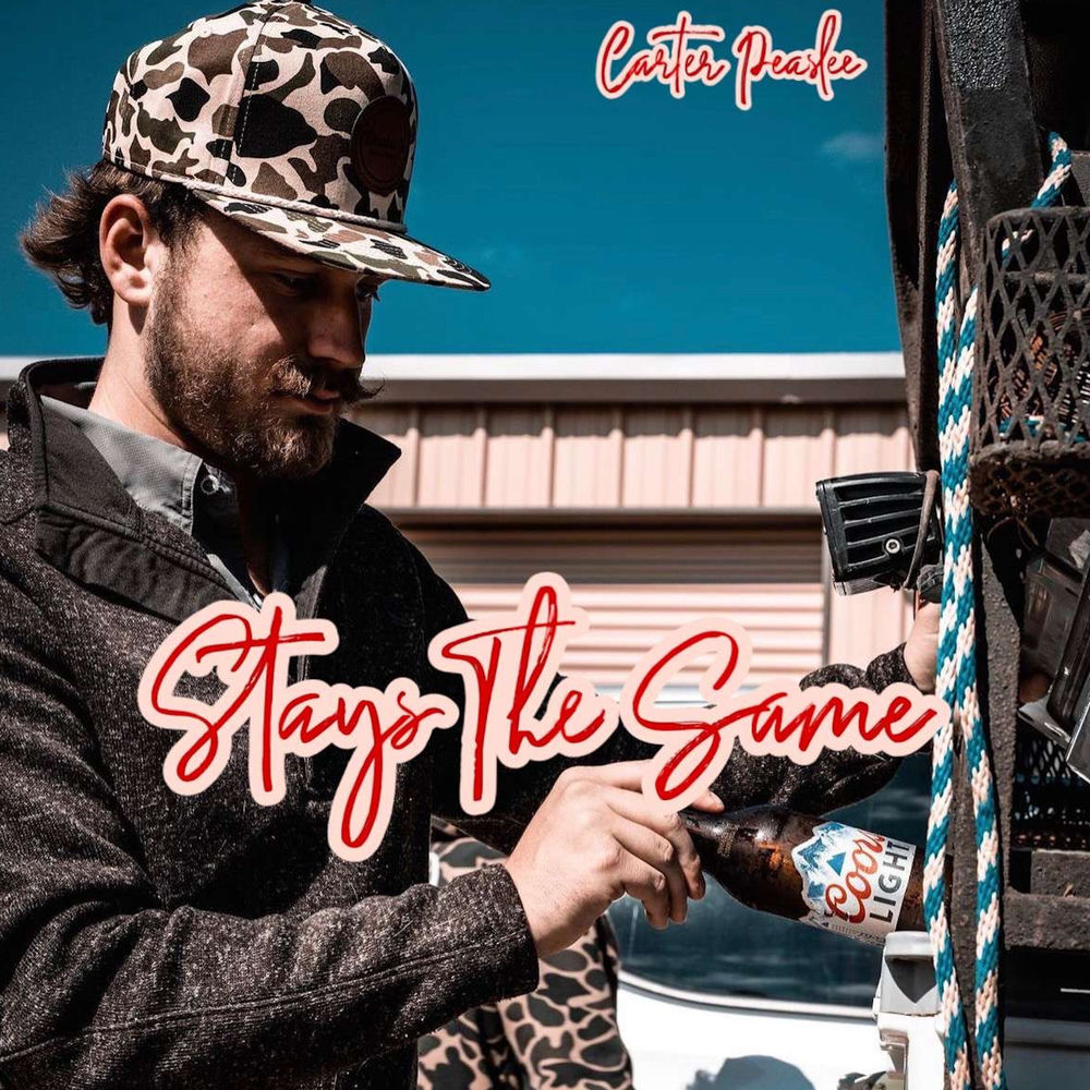 Stays the Same cover art